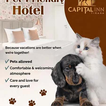 Hotel Capital By Arta 4*