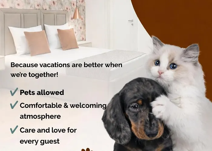 Отель Capital *